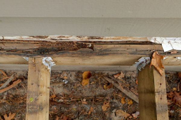 Naples Wood Rot Repair