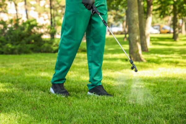 Naples Lawn Treatment