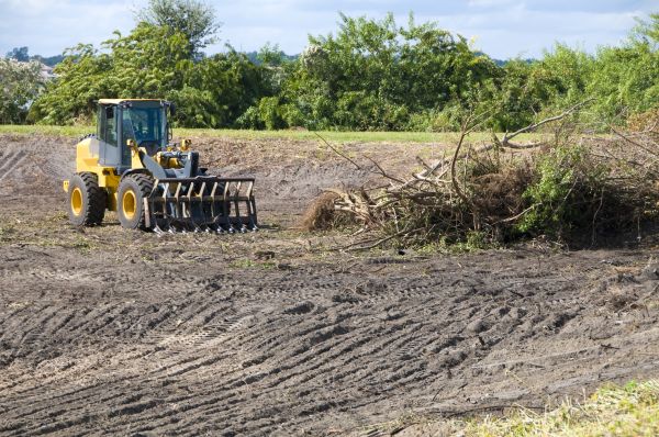 Naples Land Clearing