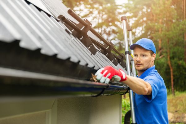 Naples Gutter Cleaning