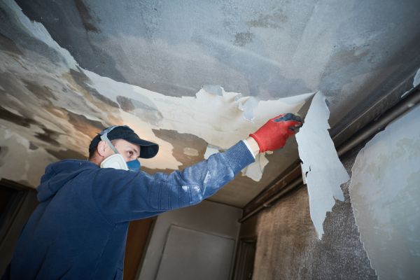 Naples Fire Restoration