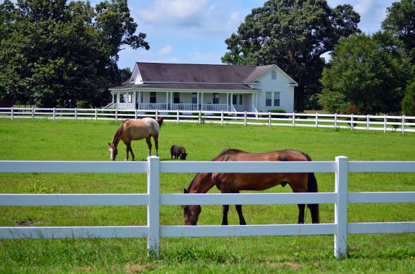 Naples Fence Service